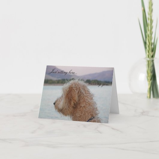 Missing You Notecard--Golden Doodle Card Karte (Vorderseite)