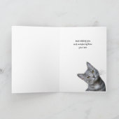 Missing You Thinking of You Curious Cat Karte (Innenseite)