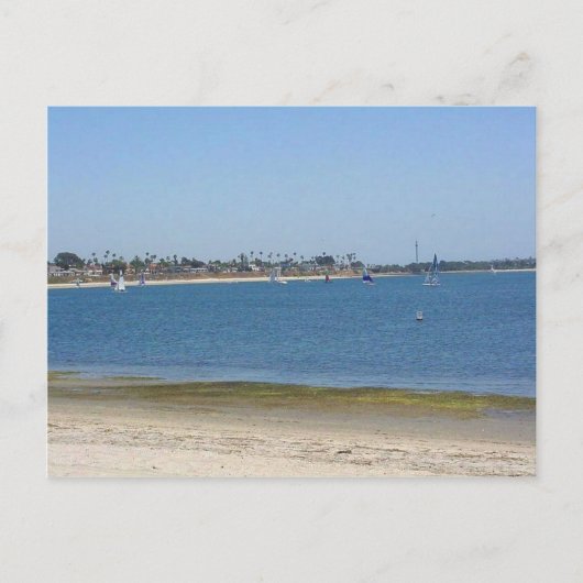 Mission Bay Sailboote Wasser Postkarte (Vorderseite)