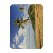 Mission Beach Magnet (Vertikal)