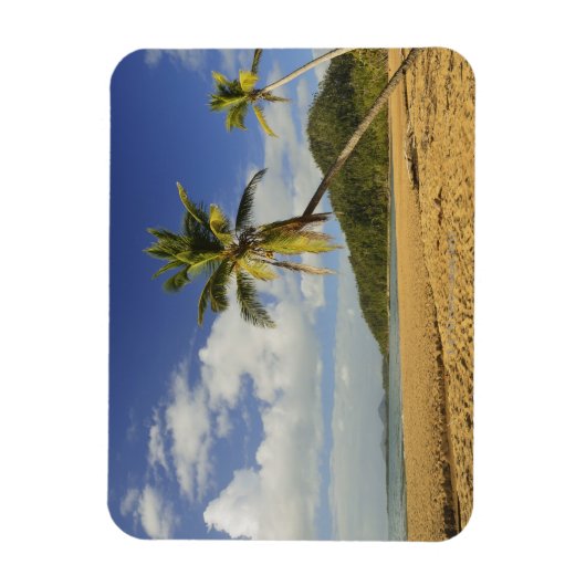 Mission Beach Magnet (Vertikal)