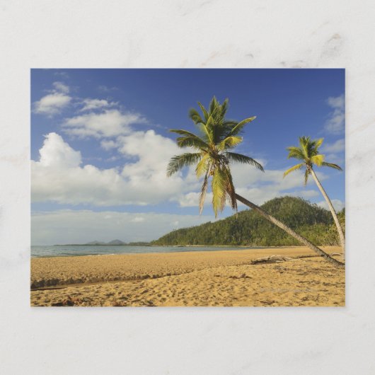 Mission Beach Postkarte (Vorderseite)