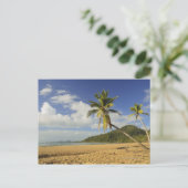 Mission Beach Postkarte (Stehend Vorderseite)