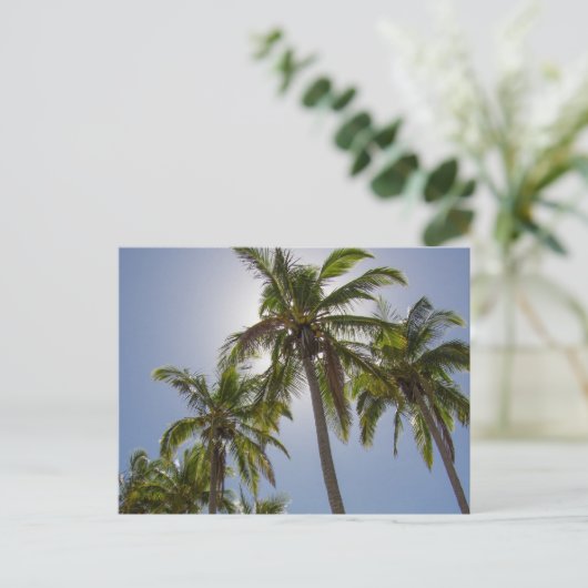 Mission Beach Postkarte (Stehend Vorderseite)