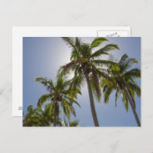 Mission Beach Postkarte (Vorne/Hinten)