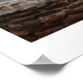 Mission Courtyard Poster (Ecke)