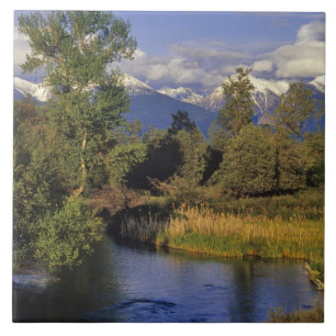 Mission Creek durchläuft das Nationale Bison Fliese