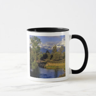 Mission Creek fließt durch die National Bison Tasse