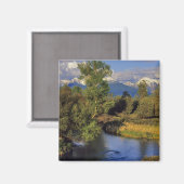 Mission Creek in National Bison Range in Magnet (Vorderseite/Rückseite)