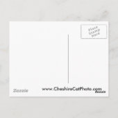 Mission San Francisco de Solano CA Products Postkarte (Rückseite)