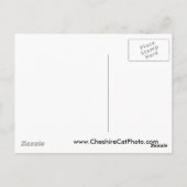 Mission San José California Products Postkarte (Rückseite)