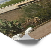 Mission San Xavier Poster (Ecke)