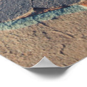 Mission Santa Barbara Poster (Ecke)