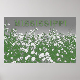 Mississippi-Baumwolle Poster