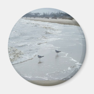 Mississippi Beach Magnet #2