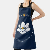 Mississippi Flag 2020 Neu Schürze (InSitu)