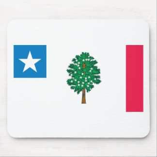 Mississippi-Flaggen-T - Shirts (1861) Mousepad
