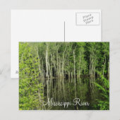 Mississippi-Fluss Postkarte (Vorne/Hinten)
