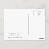 Mississippi Fluss Source Sourvenir Postcard Postkarte (Rückseite)