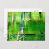 Mississippi Lake Postkarte (Vorne/Hinten)