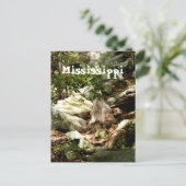 Mississippi Postkarte (Stehend Vorderseite)