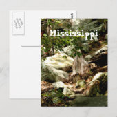 Mississippi Postkarte (Vorne/Hinten)