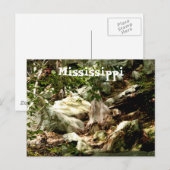 Mississippi Postkarte (Vorne/Hinten)