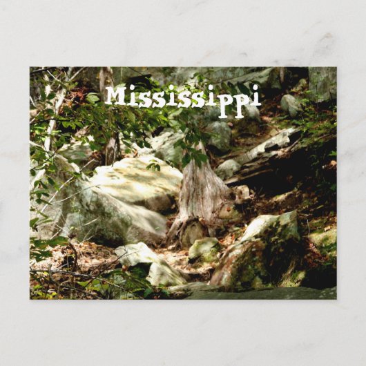 Mississippi Postkarte (Vorderseite)