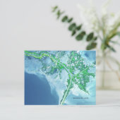 Mississippi River Delta Satellite Postkarte (Stehend Vorderseite)