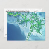 Mississippi River Delta Satellite Postkarte (Vorne/Hinten)
