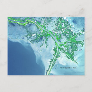 Mississippi River Delta Satellite Postkarte