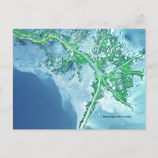 Mississippi River Delta Satellite Postkarte (Vorderseite)