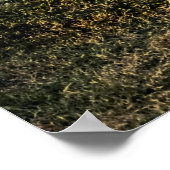 Mississippi River Moonwalk Poster (Ecke)