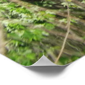 Mississippi River Treflections Poster (Ecke)