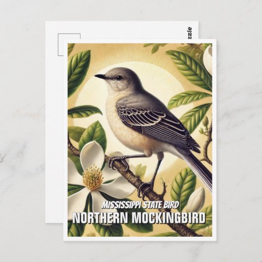 Mississippi Staat Bird Northern Mockingbird Postkarte (Vorne/Hinten)