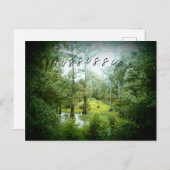Mississippi-Sumpf - Postkarte (Vorne/Hinten)
