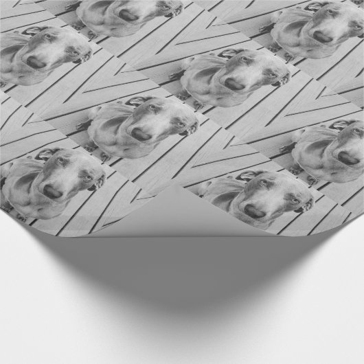 Missmutiges Weimaraner B&W Geschenkpapier (Ecke)