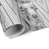 Missmutiges Weimaraner B&W Geschenkpapier (Rolleneckpunkt)