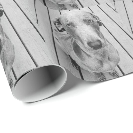Missmutiges Weimaraner B&W Geschenkpapier (Rolleneckpunkt)