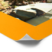 Missouri Botanischer Japenese Garten Poster (Ecke)