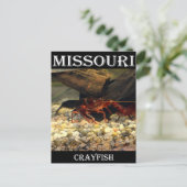 Missouri Crawfish Postkarte (Stehend Vorderseite)