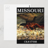 Missouri Crawfish Postkarte (Vorne/Hinten)