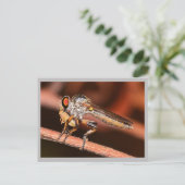 Missouri Damselfly. Postkarte (Stehend Vorderseite)