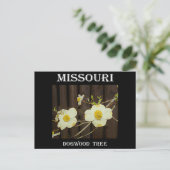 Missouri Dogwood Postkarte (Stehend Vorderseite)