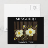 Missouri Dogwood Postkarte (Vorne/Hinten)
