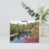 Missouri Fall Foto Postkarte (Stehend Vorderseite)