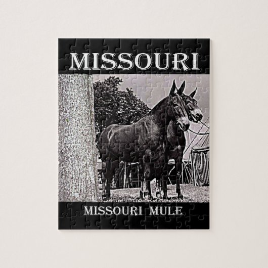 Missouri-Maultier Puzzle (Vertikal)