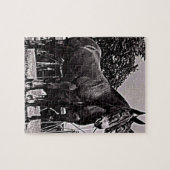 Missouri-Maultier Puzzle (Horizontal)