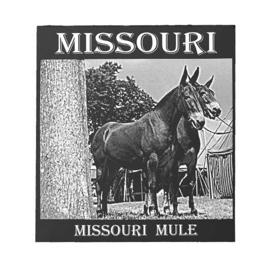 Missouri Mule Notizblock (Vorderseite)