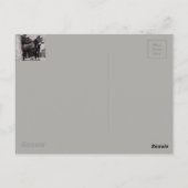 Missouri Mule Postkarte (Rückseite)